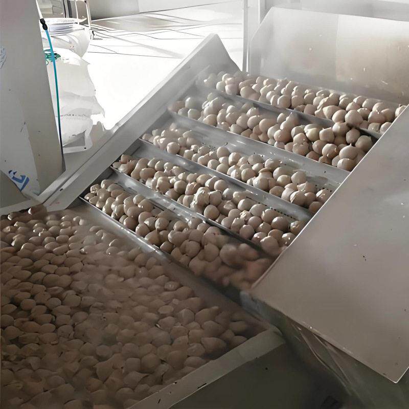 肉丸加工蒸煮冷却生产线 蔬菜丸子机油炸线海鲜虾丸成型机