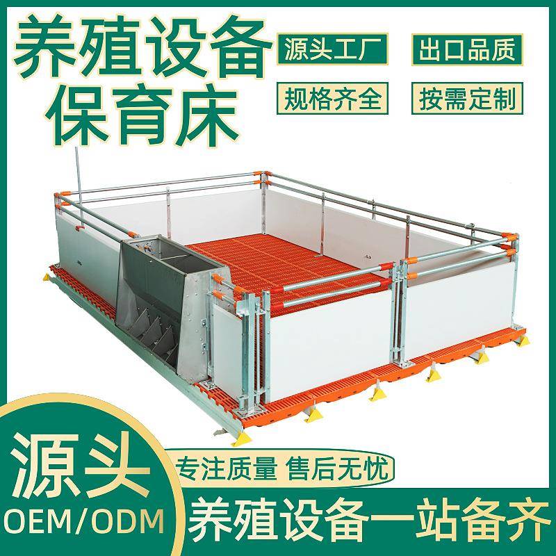 正红畜牧养殖设备pvc板仔欧式保育床养殖场小保育产床