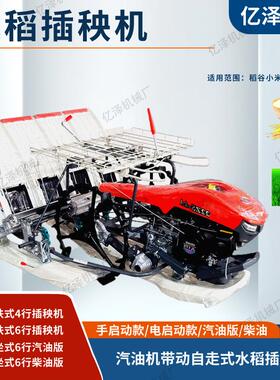 乘坐式6行汽油机版插机农水田育手苗用机TIS农用稻谷秧动稻田栽秧