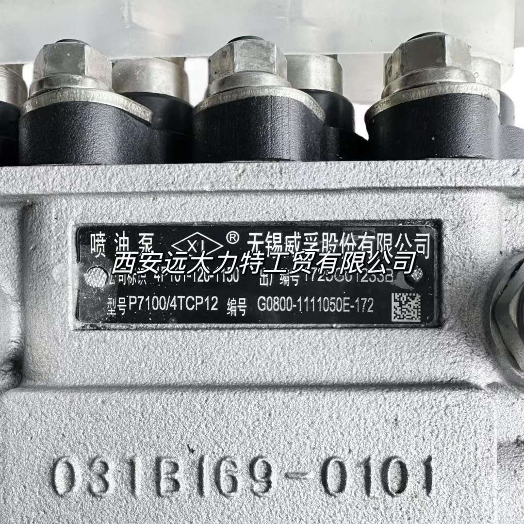原装燃油泵4P101 G0800-1111050E-172 P7100/4TCP12用于玉柴41