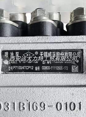 原装燃油泵4P101 G0800-1111050E-172 P7100/4TCP12用于玉柴41