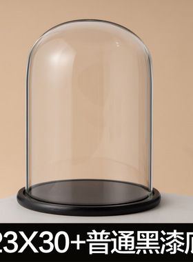 玻璃罩工艺品防尘罩永生装饰摆件