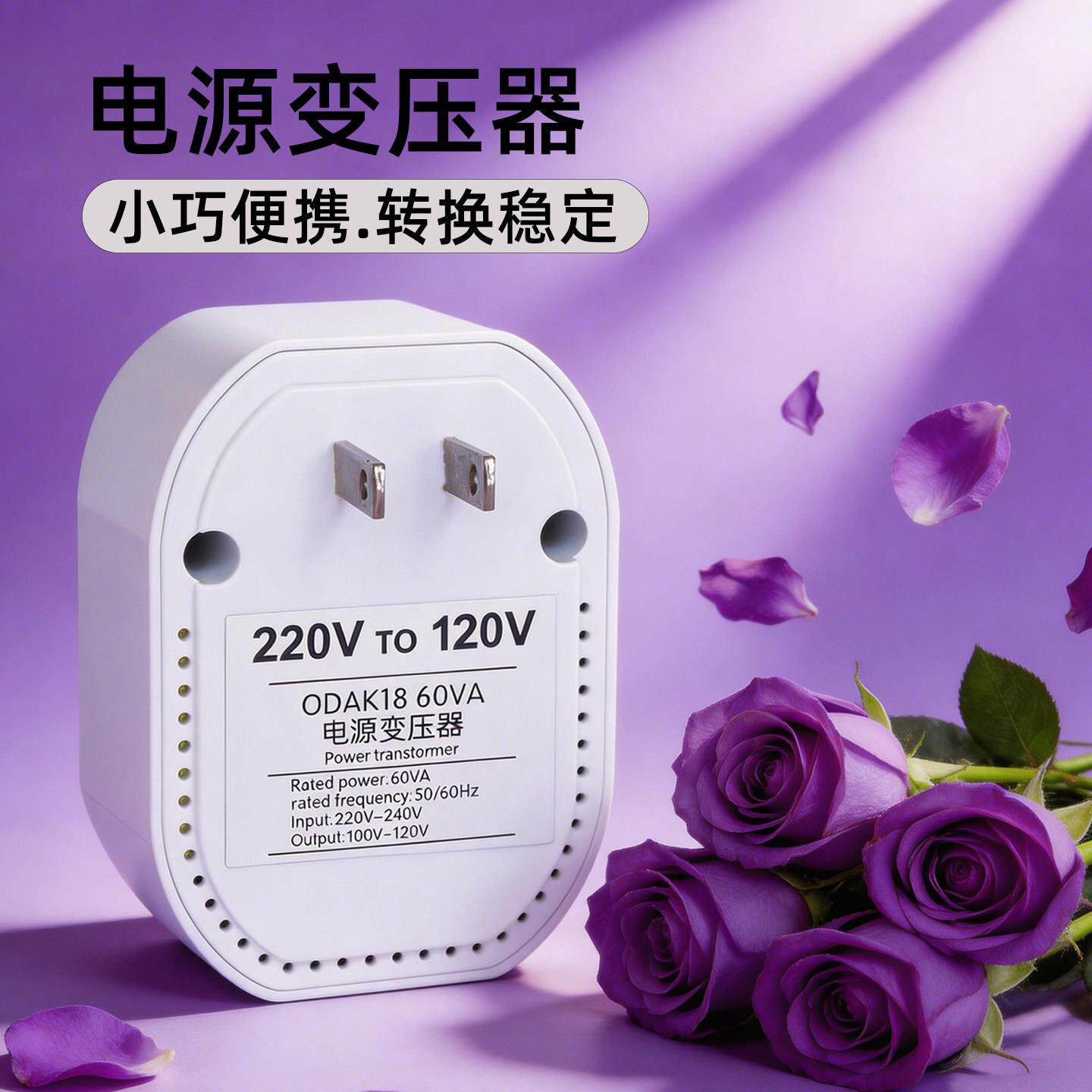 美国进口电器电源变压器220V转120V电压转换器110V转220V变100V伏