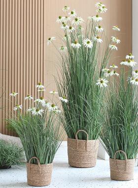 彷真绿色植物造景芦苇松果菊高端盆栽摆件大型植物室内装饰家居服