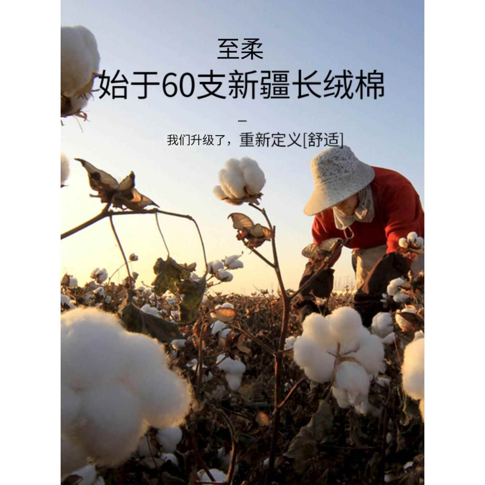 xt酒店6上0支贡缎F6TMT9H纯床四件套全棉被套床单棉民宿纯色三件