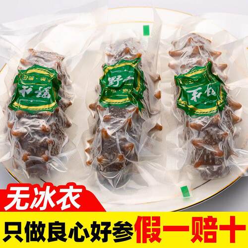 大连即食野生海参鲜食辽参开 袋即食鲜活即食海参刺参礼盒送礼