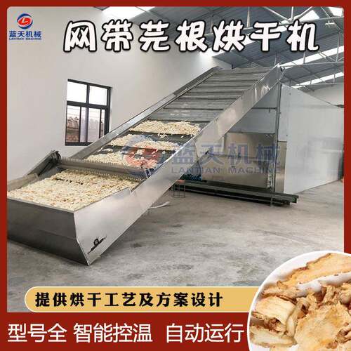 芫根烘干机全自动芫根清洗切片烘干整套设备网带式芜菁片干燥机