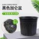 侧棱加仑盆二代加厚塑料黑色花盆阳台月季 玫瑰绿萝吊兰盆育苗耐用