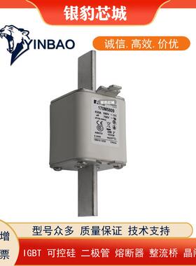 170M5808 170M5809 170M5810 170M5811 170M5812 170M5813熔断器