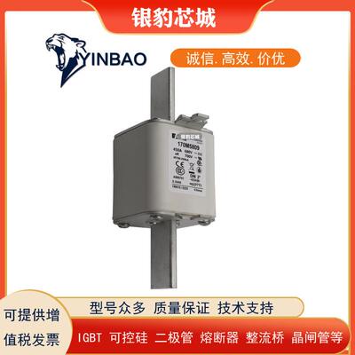 170M5808/09/10/11/12/3813/4808/5809/6810熔断器保险丝型号齐全