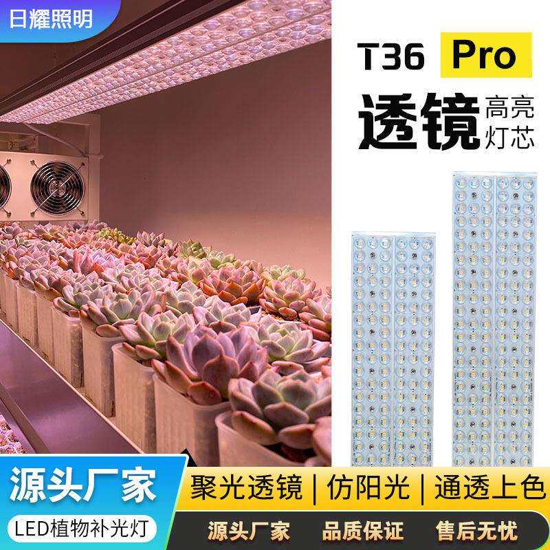 多肉补光灯T36透镜款室内热植家用上色全光谱仿太阳植物灯生长灯