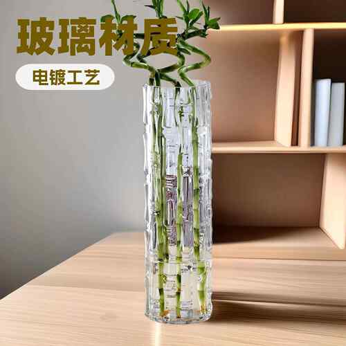 新款直销富贵竹玻璃花瓶水培花瓶高颜值家用客厅透明插花瓶插花摆
