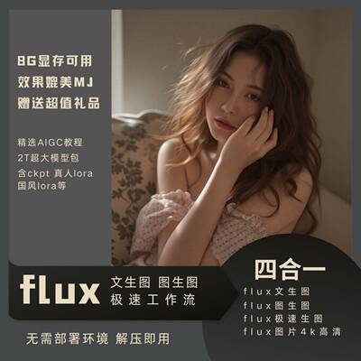 comfyui工作流flux文生图图生图4k放大照片模糊变清晰赠2t模型包