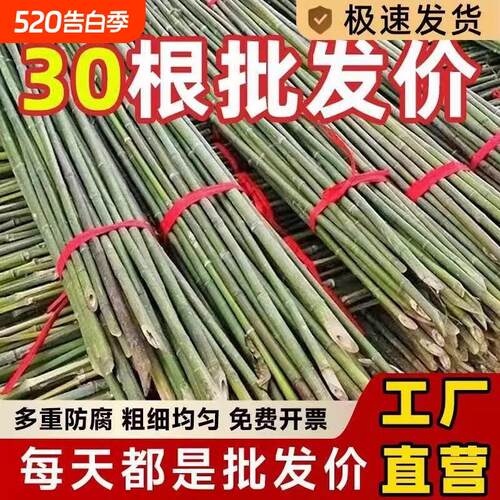【店长推荐】竹竿子菜园搭架蔬菜架丝瓜架黄瓜架豆角架番茄架爬藤