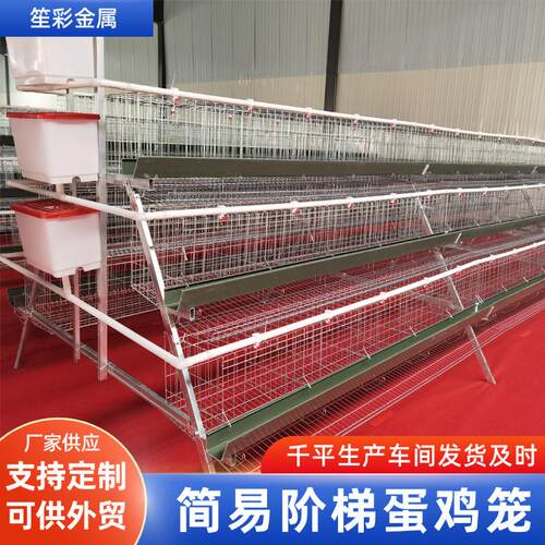 养殖设备蛋鸡笼子多层叠养殖场蛋鸡笼具热镀锌阶梯式食槽蛋鸡笼