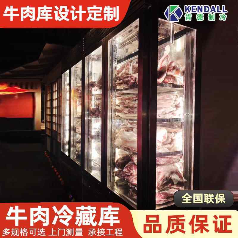 高端牛肉熟成库西餐厅牛排柜商用冷藏冷鲜展示柜干湿排酸柜冷冻