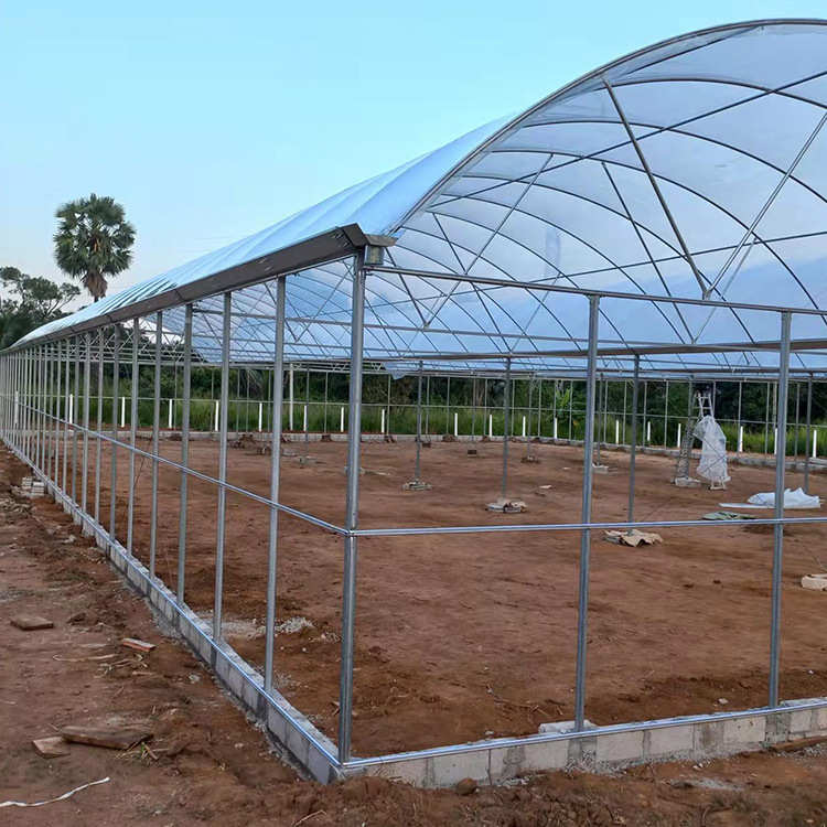 农业温室大棚设计安装包料单体插地棚蔬菜种植棚冬暖夏凉种植暖棚