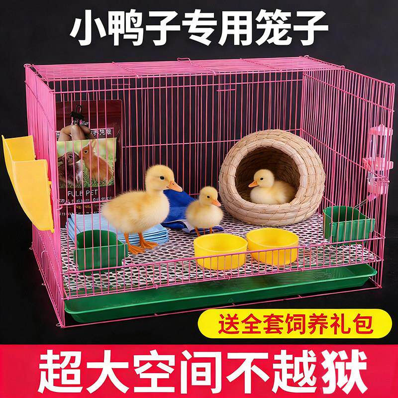 柯尔鸭专用笼子大号家用加密豪华别墅自动清粪便宠物小鸡鸭子房子