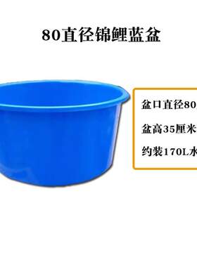 锦鲤蓝盆专用周转箱蓝色塑料大盆隔离鱼场测量盆暂养尺盆水族圆盆