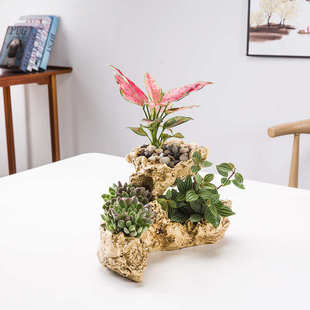 尚和道 三孔多肉花盆 树脂工艺植物盆栽花盆 厂家电商花盆