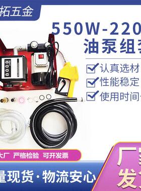 抽油泵组套加油泵便携式电动抽油泵直流小潜水输油泵550w-220v