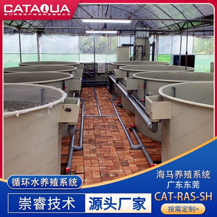 循环水养殖设备海马养殖基地Ras蛋分生化温控集成系统