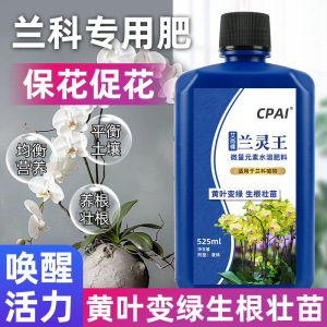 蝴蝶兰微生物君子兰厂家生物菌肥