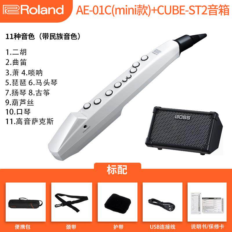 正品oland罗兰吹管乐器初AE01R电娱乐学ae05/01c电子萨克斯葫芦丝