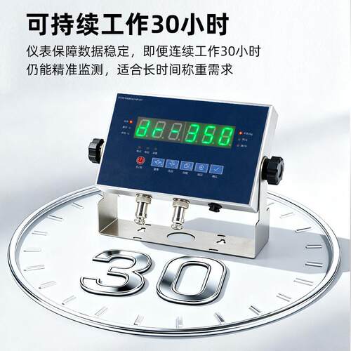 大洋高精度称重显示控制器配料控制器定量包装力值显示仪表DY350