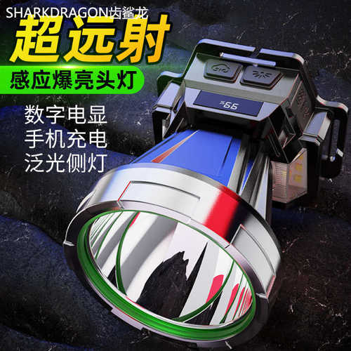 跨境新款感应强光头灯Type-C充电智能电显户外露营夜钓LED头灯