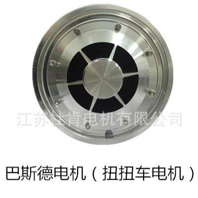 双轮平衡车扭扭车无刷智能电机8寸大功率发光直流电动工具电机