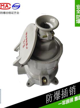 防爆插销AC-1/16A上海新黎明插头插座BCX直插防水电源连接器