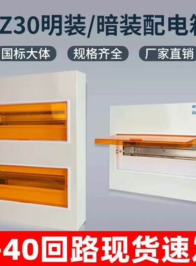 国标PZ30明装暗装强电箱家用开关配电箱室内电闸盒布线箱电源控制