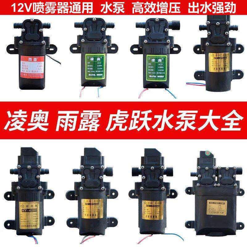 12V农用电动喷雾水泵 智能洗车隔膜泵 自吸式小水泵马达