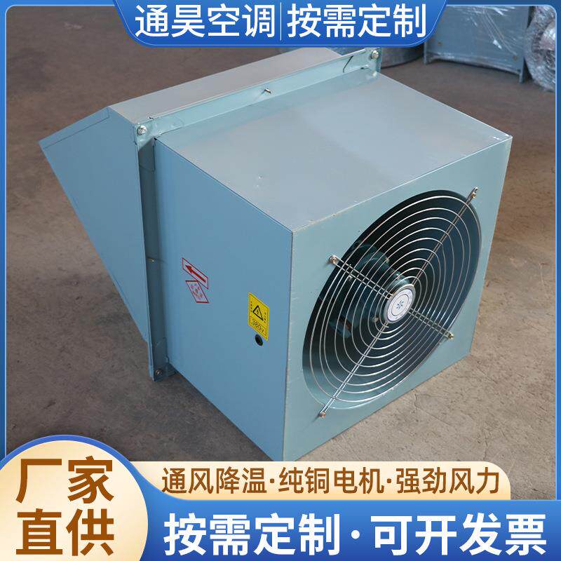 大功率金属防雨罩工业通风排风机 工业厂房防爆低噪声WEX边墙风机