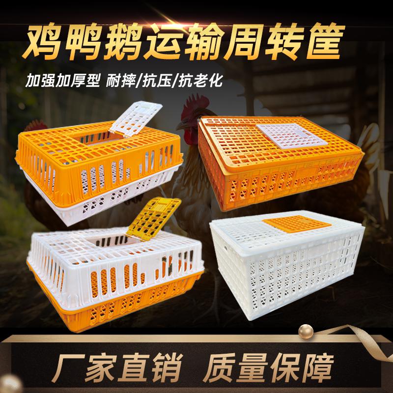 鸡用周转箱养殖场家用塑料运输笼鸡筐成鸡鸭鹅鸽子兔养殖笼塑料筐
