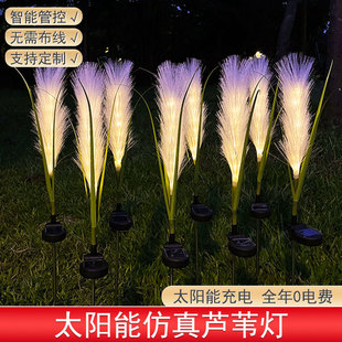 厂家直销景观灯户外防水园林广场亮化装 饰led光纤芦苇灯