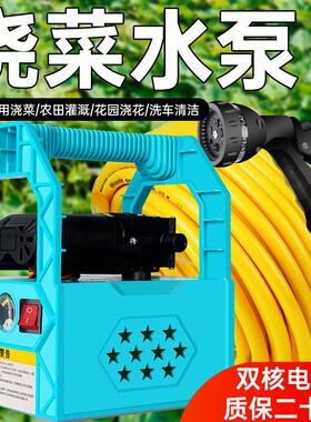 充电式抽水泵菜地浇水机淋浇菜神器农用浇地家用锂电抽水机灌溉机