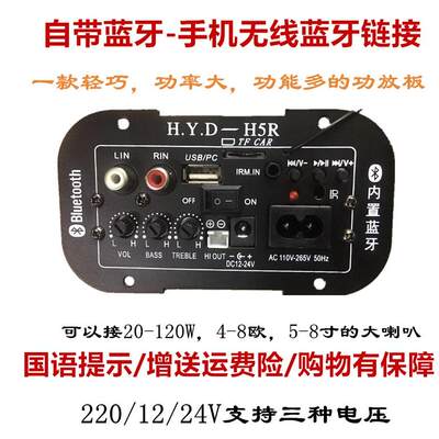 低音炮 功放板 车载内置蓝牙 FM收音 220V 12V 24V炮芯 适用5-8寸