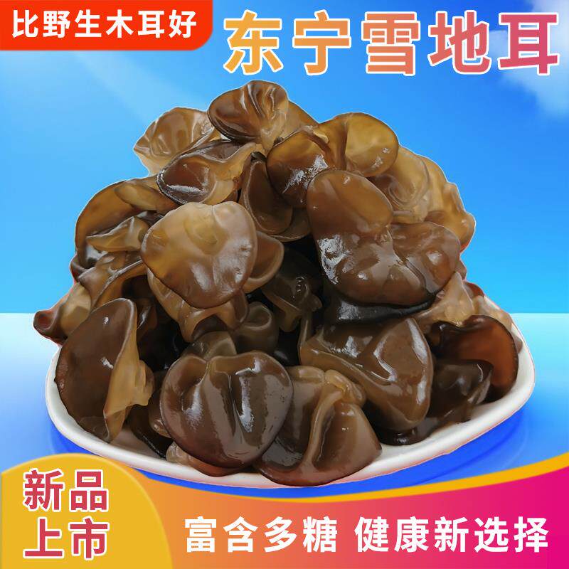 东宁雪地耳野生小木耳 肉厚秋木耳东北特产非特级干货黑木耳瓶装