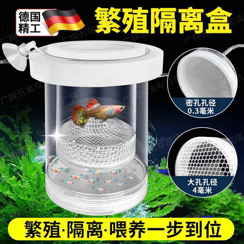 鱼缸繁殖隔离盒孔雀鱼小鱼鱼苗分隔网凤尾鱼专用孕母鱼生产孵化器