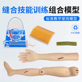 外科技能切开缝合练习肠管手臂腿肢上下肢训练模块打结训练模型
