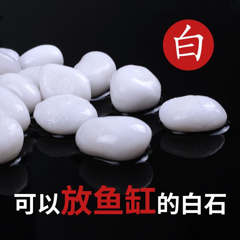 白色石子庭院装饰材料精抛光小白石景观阳台造景白石头铺地鹅卵石