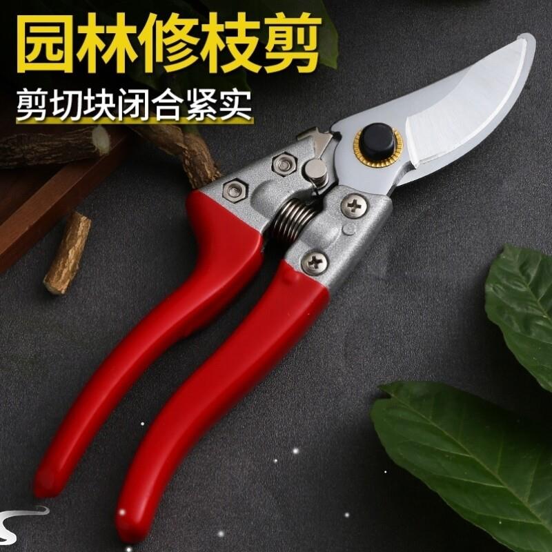 剪枝果树修枝剪刀修花粗枝园林家用剪子花剪果树修剪树枝园艺图片