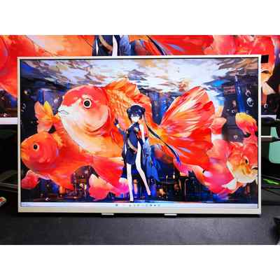 新款18寸P3广色域 2.5K 155Hz/240Hz 定制白色便携显示器 扩展副