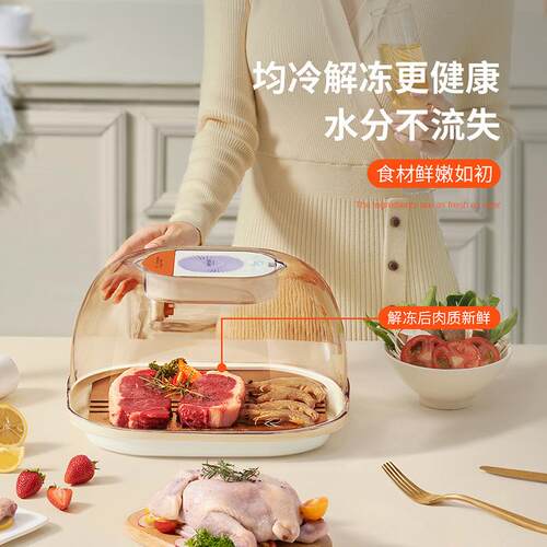 解冻神器家用快速解冻牛排保鲜导热板急速化冰冷冻食物解冻器商用
