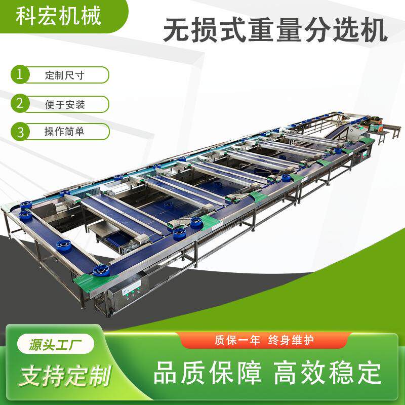 无损式分选机秋月梨苹果香瓜智能分选西瓜柚子重量分拣