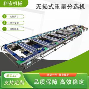 无损式分选机秋月梨苹果香瓜智能分选西瓜柚子重量分拣