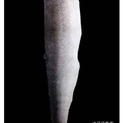 30鱼皮包邮画大马哈鱼全场原材料满鱼皮皮衣鱼元赫哲族皮