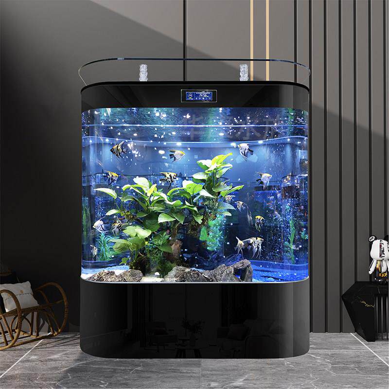 鱼缸客厅家用中小型2025新款双圆形靠墙大型背滤生态造景金龙鱼缸